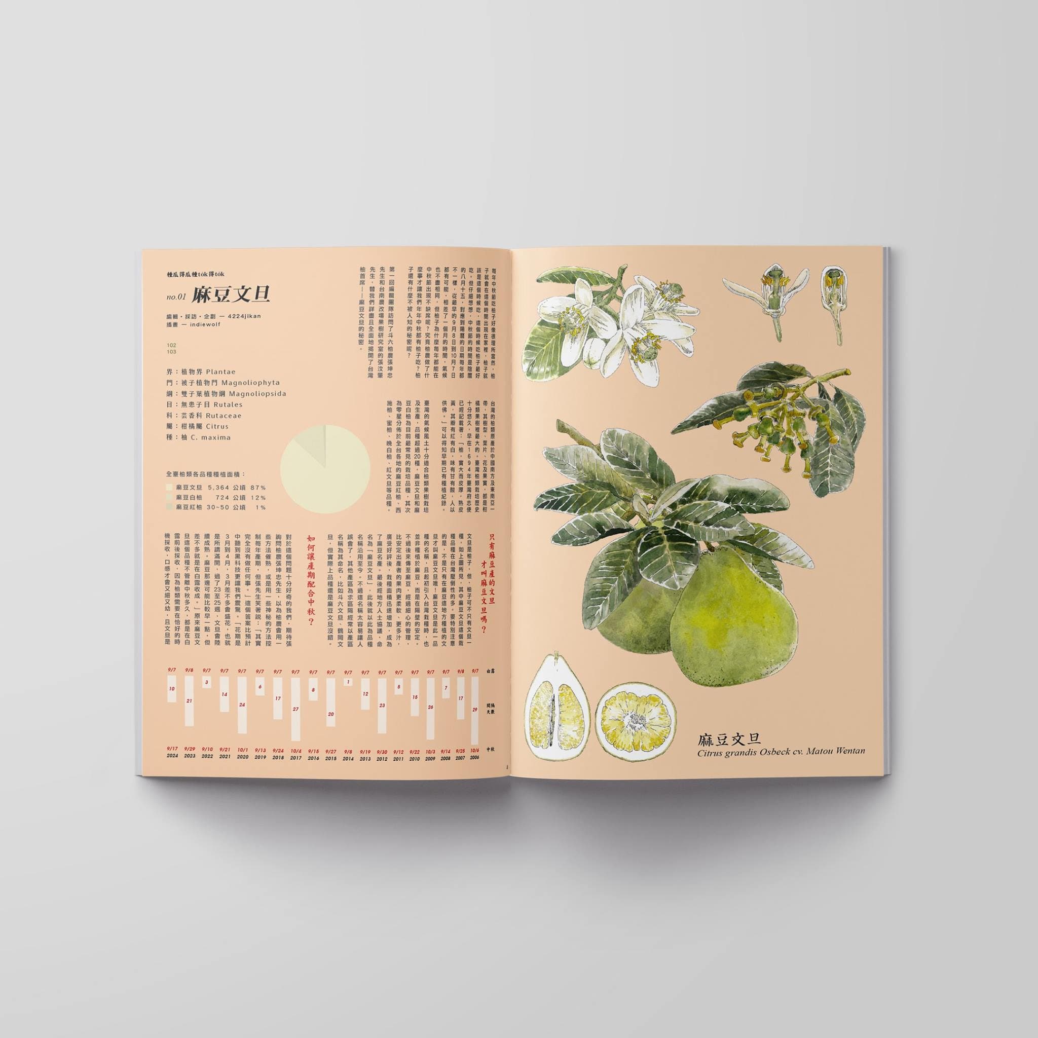 台毒誌 To̍k magazine 系列合作